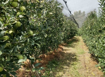 АФПЗРР објави повик за финансиска поддршка на земјоделски  задруги