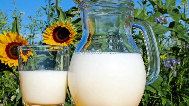 Исплатени се субвенции за произведено и предадено кравјо, овчо и козјо млеко