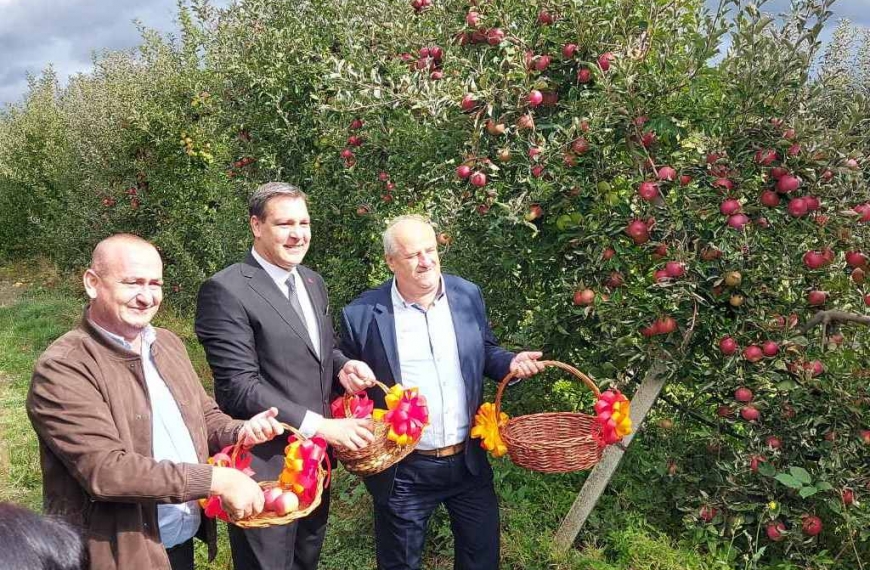 Прспански јаболкобер 2022