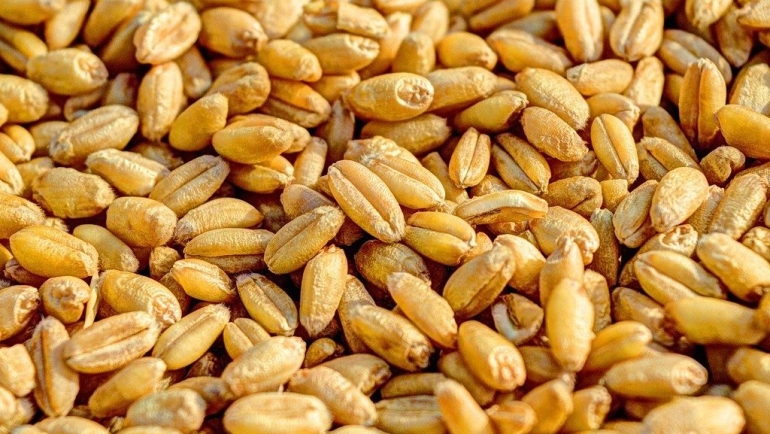 Од денес до 31 октомври аплицирање за дополнителна финансиска поддршка