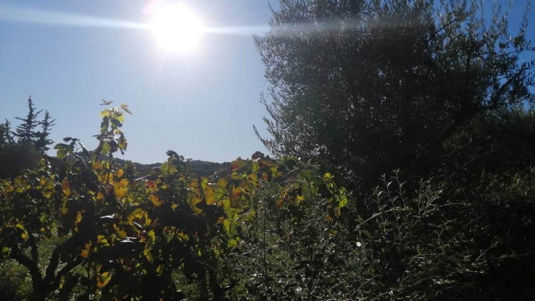 Временска прогноза- студени утра и ноќи, а преку ден топло￼