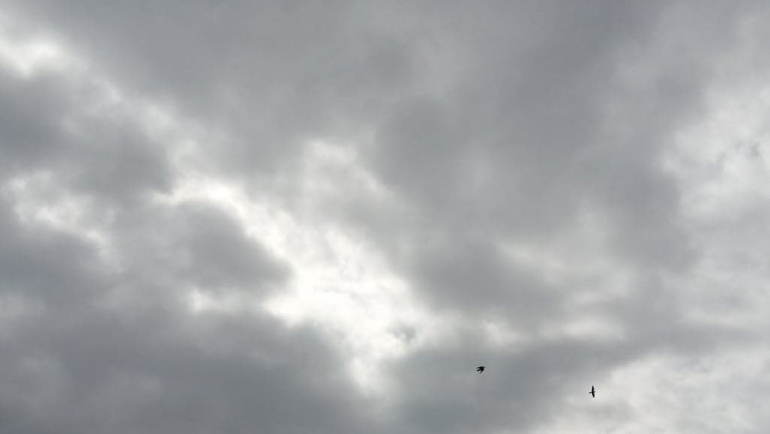 Променливо облачно време со локални дождови