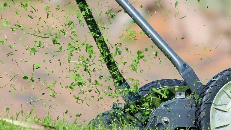 Тревник -подигнување и нега