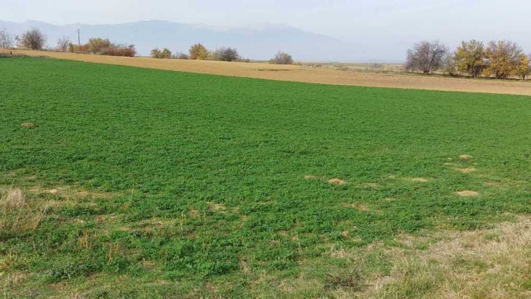 Продолжен рокот за аплицирање за поддршка за вештачки ѓубрива за есенска сеидба