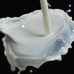 Исплатена премија за млеко