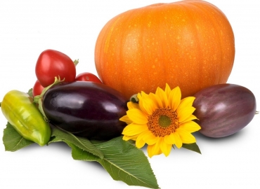 Објавен јавен оглас за доделување на техничка поддршка за маркетинг на земјоделски производи и нивни преработки