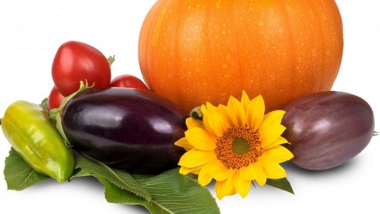 Складирање на зеленчук