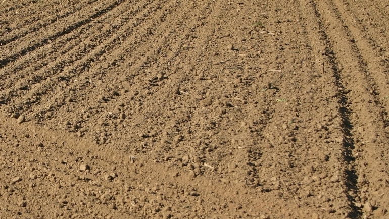 Правилно управување со почвата