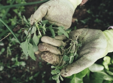 Инвестирај во земјоделството!