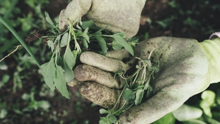 Инвестирај во земјоделството!