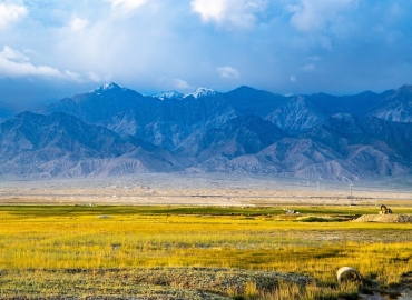 Јавен повик за капитални субвенции