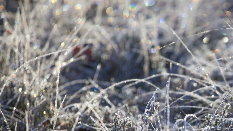 Минусни утрински температури низ цела држава