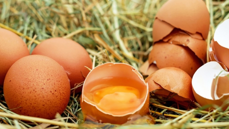 Кокошки несилки – кога се најпродуктивни?