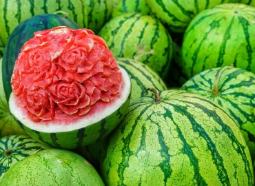 Садење на лубеници – совети за почетници