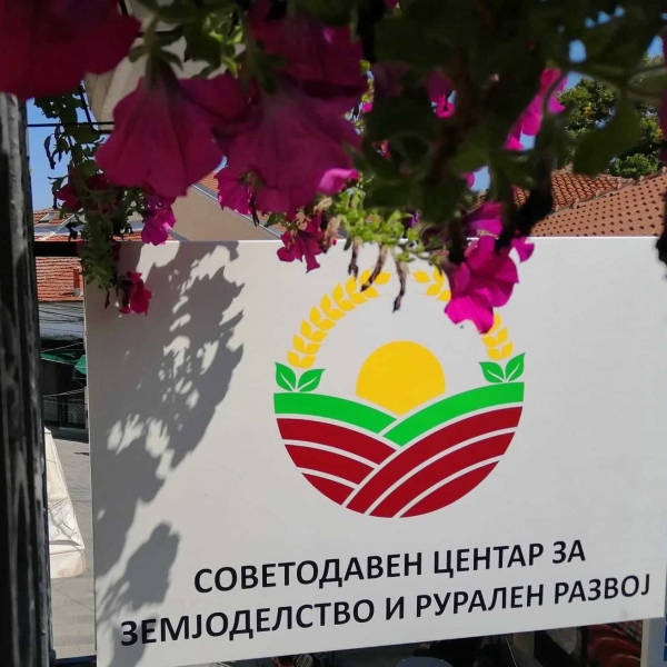 ЈАВЕН ПОВИК за субвенционирање на женско претприемништво за дигитиализација на деловни процеси