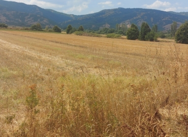 Усвоени трите мерки за поддршка на земјоделците од интервентната програма