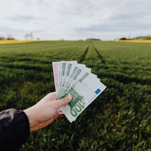 Извршена исплата на над 237 милиони денари од програмата за рурален развој и интервентен фонд