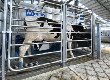 Робот за молзење крави – современа технологија за поголема продуктивност