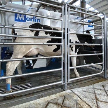 Робот за молзење крави – современа технологија за поголема продуктивност